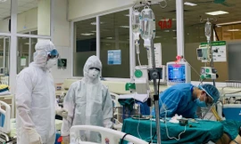 Ảnh minh họa: Internet