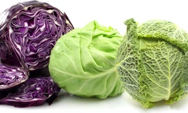 Ảnh minh họa: Internet