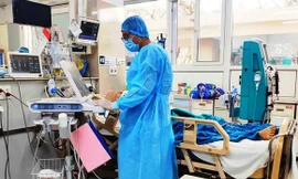 Ảnh minh họa: Internet