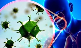 Ảnh minh họa: Internet