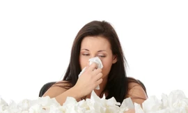 Ảnh minh họa: Internet