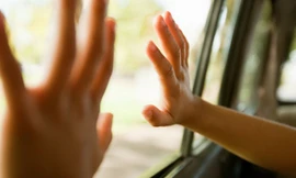 Ảnh minh họa: Internet