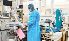 Ảnh minh họa: Internet