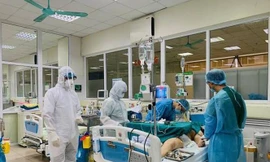 Ảnh minh họa: Internet