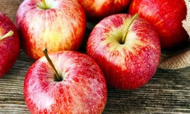 Ảnh minh họa: Internet