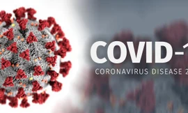 Ảnh minh họa: Internet