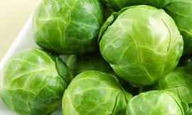 Ảnh minh họa: Internet