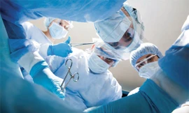 Ảnh minh họa: Internet