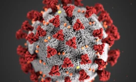 Ảnh minh họa: Internet