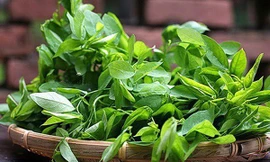 Ảnh minh họa: Internet