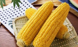 Ảnh minh họa: Internet