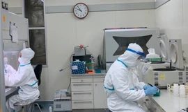 Ảnh minh họa: Internet