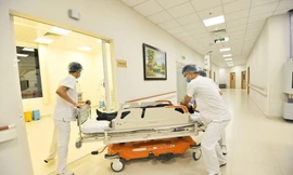 Ảnh minh họa: Internet