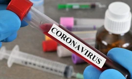 Ảnh minh họa: Internet