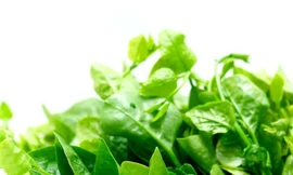 Ảnh minh họa: Internet