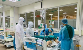 Ảnh minh họa: Internet