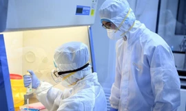 Ảnh minh họa: Internet