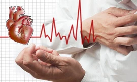 Ảnh minh họa: Internet