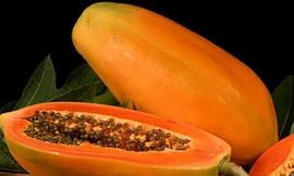 Ảnh minh họa: Internet