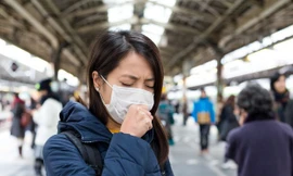 Ảnh minh họa: Internet