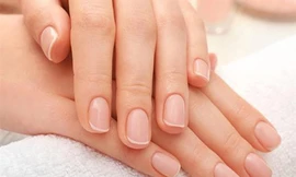 Ảnh minh họa: Internet