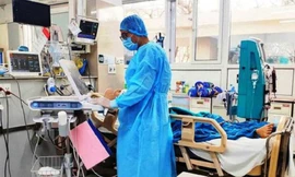 Ảnh minh họa: Internet