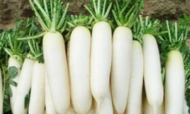 Ảnh minh họa: Internet