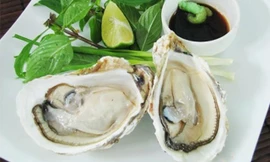 Ảnh minh họa: Internet