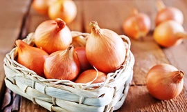 Ảnh minh họa: Internet