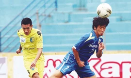 Lấp khoảng trống chờ khai mạc