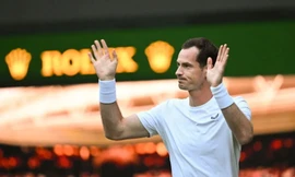 Andy Murray tuyên bố giải nghệ sau Thế vận hội Paris 2024