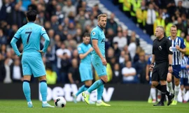 Trước trận Brighton - Tottenham, 23h30 ngày 8/10: ‘Làm thịt’ Gà trống 