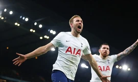 Trước trận Tottenham vs Leeds, 22h00 ngày 12/11: Đứng dậy thôi, Gà trống!