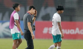 Báo Indonesia hoài nghi Shin Tae-yong: 'Gần 3 năm không thắng nổi Việt Nam và Thái Lan'
