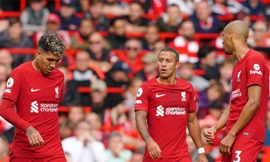 Nhận định Brighton vs Liverpool, 22h00 ngày 14/1: Chặn đứng Lữ đoàn đỏ