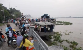 Bắt được cá hô gần 120kg trên sông Tiền