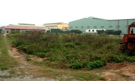 Hà Nội: Hàng loạt sai phạm sử dụng đất