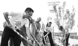 Hành trình một triệu cây xanh đến Tiền Giang