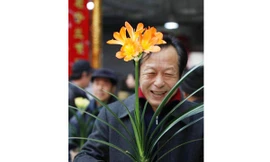 Chậu địa lan giá 133 tỷ đồng