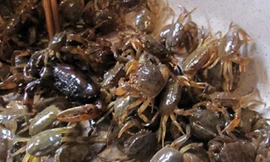 Kinh sợ món cua xay tại chợ