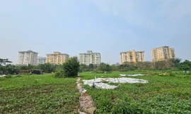 Kiến nghị không giới hạn dự án được thí điểm mở rộng loại đất xây nhà thương mại