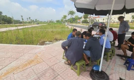 Vừa rời 'sàn' mức kỷ lục, đất đấu giá vùng ven Hà Nội bán chênh 600 triệu đồng/lô