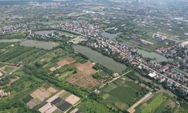 Người dân không đăng ký đất đai lần đầu sắp bị phạt nặng