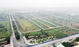 HoREA đề nghị phân biệt rõ giữa đấu thầu và đấu giá sử dụng đất