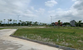 Đất đấu giá huyện vùng ven Hà Nội chốt hơn 50 triệu/m2, gấp đôi giá khởi điểm