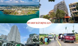 Vượt 'đỉnh' giá chung cư vẫn tiếp tục tăng, đất nền bước vào chu kỳ mới