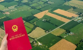 Những trường hợp nào được coi là đất không có giấy tờ sẽ được cấp sổ đỏ?