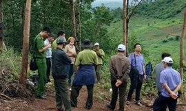 Lực lượng liên ngành khám nghiệm hiện trường để điều tra vụ đào, múc rừng phòng hộ