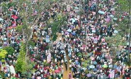 Lượt khách du lịch trong năm 2024 của toàn tỉnh là khoảng 2,3 triệu lượt