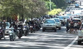 Măng Đen đón khoảng 230.000 lượt khách đến tham quan trong dịp Tết Nguyên đán